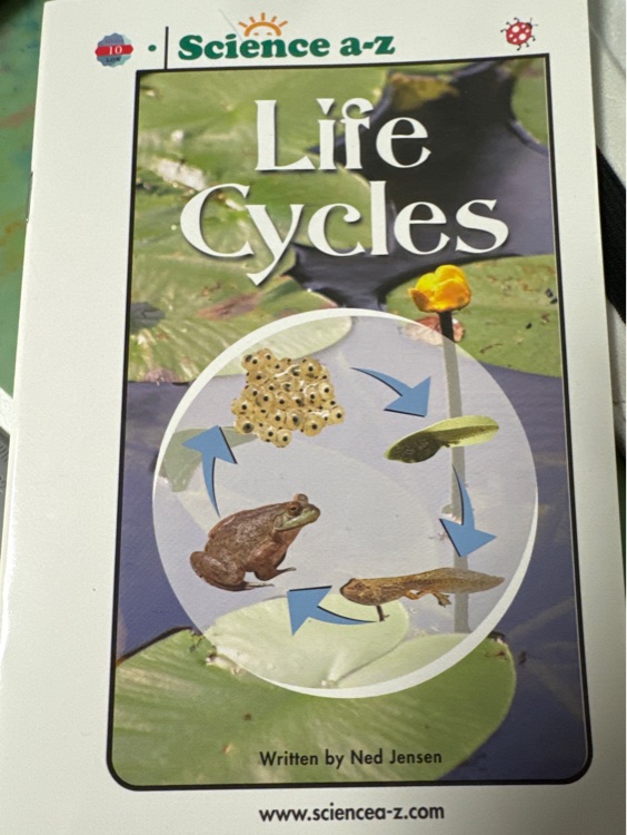 life cycles-low