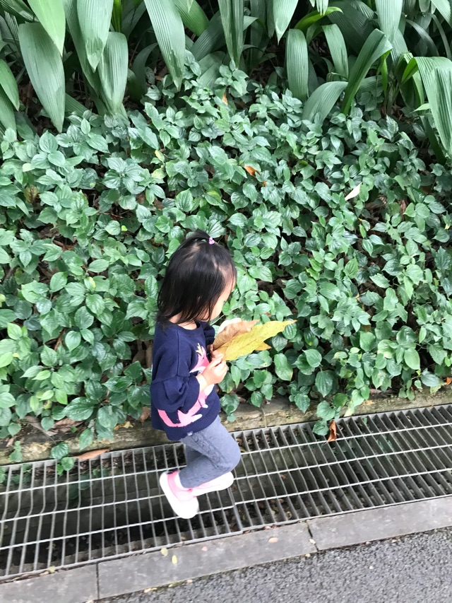 22M+ 越秀公園