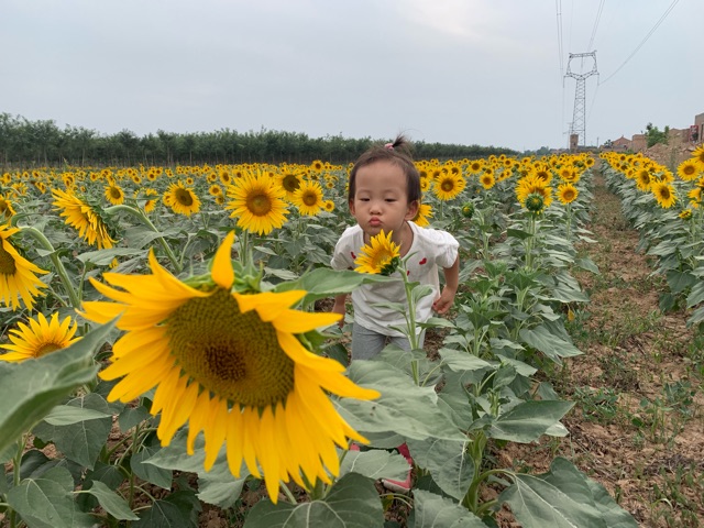 2019年暑期帶閨女