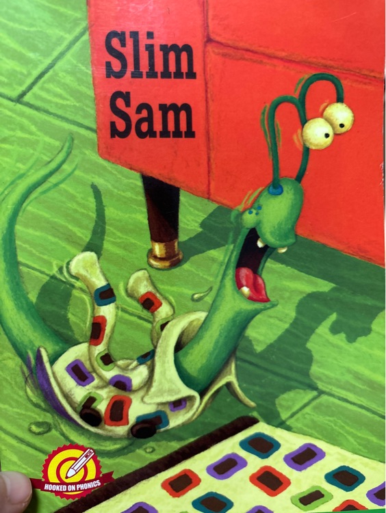 slim sam