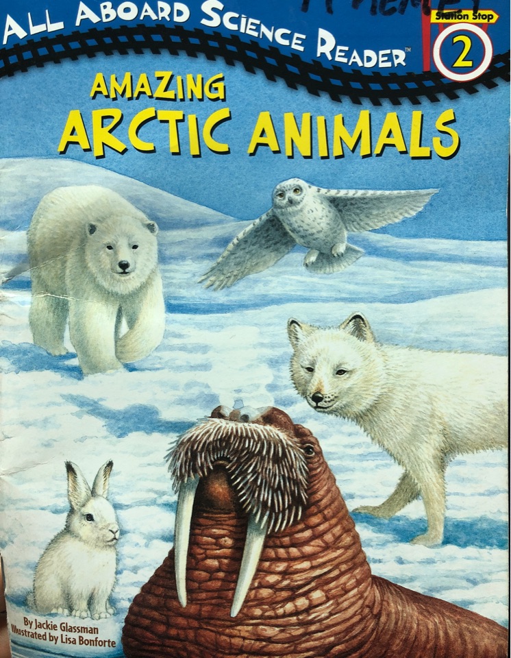 Amazing Arctic Animals