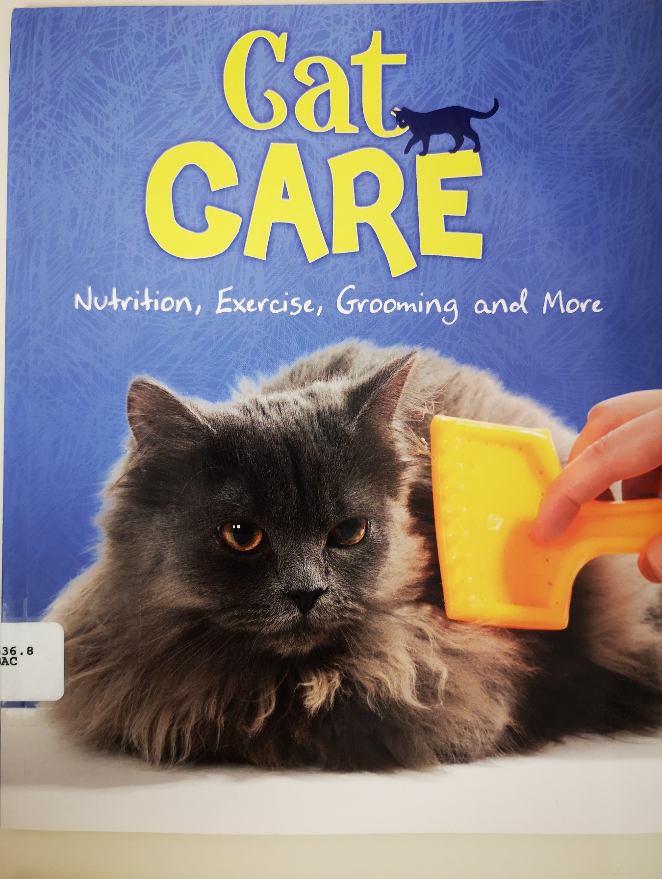 cat care