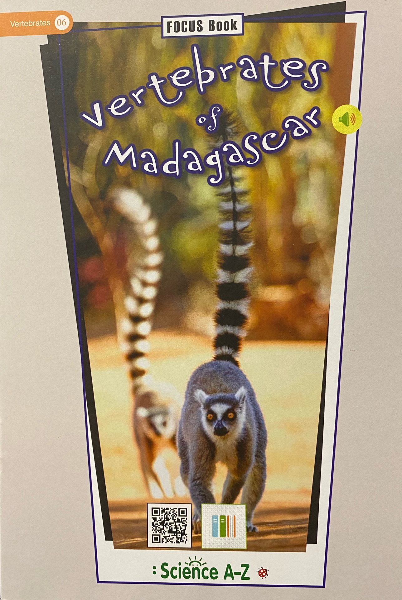 Vertebrates of madagascar