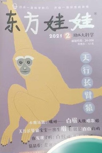 東方娃娃   天行長臂猿