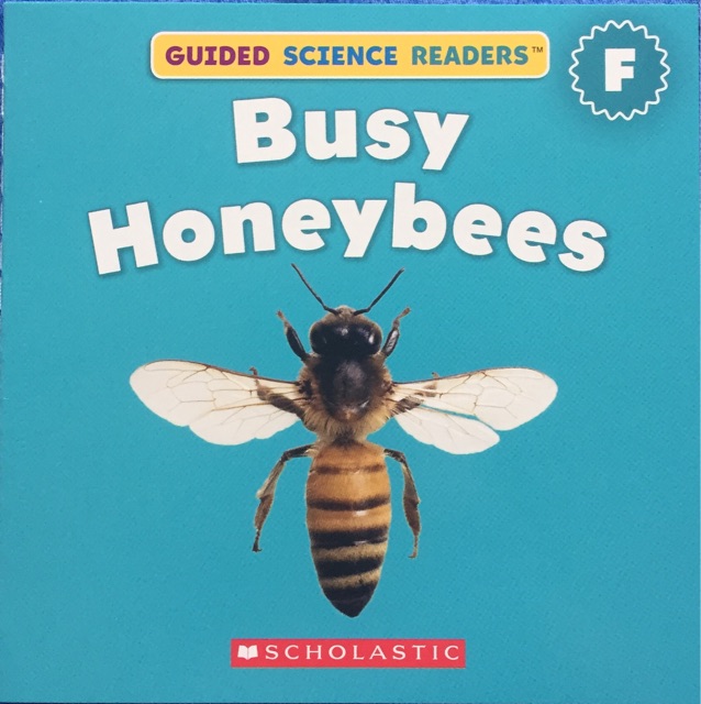 Busy Honeybees - Guided Science Readers F