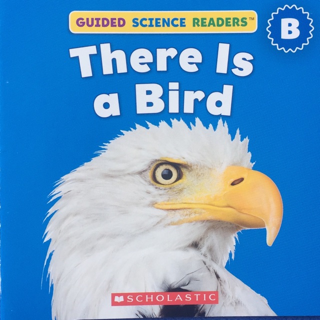 There Is a Bird (Guided Science Readers B-2)