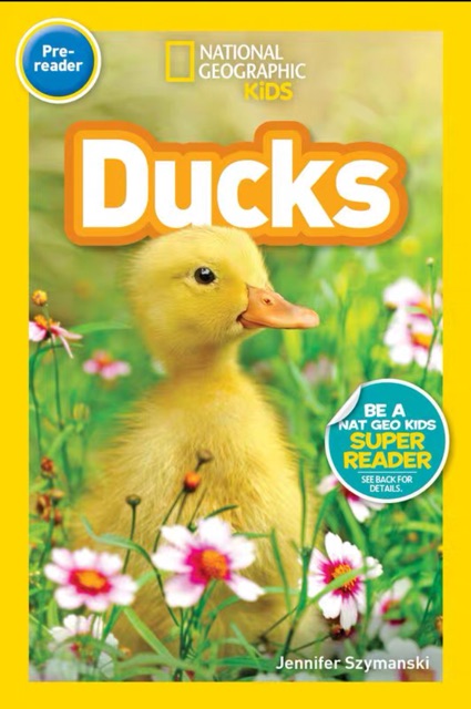 National Geographic  Kids Pre-reader: Ducks