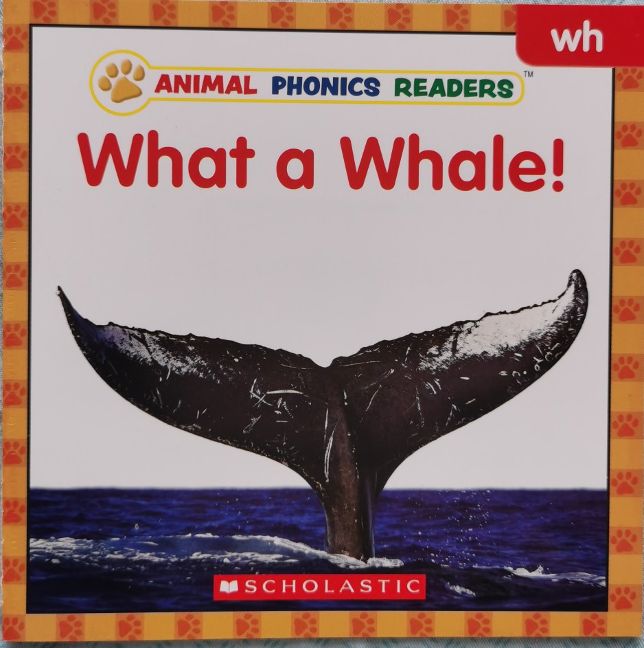 What a whale!