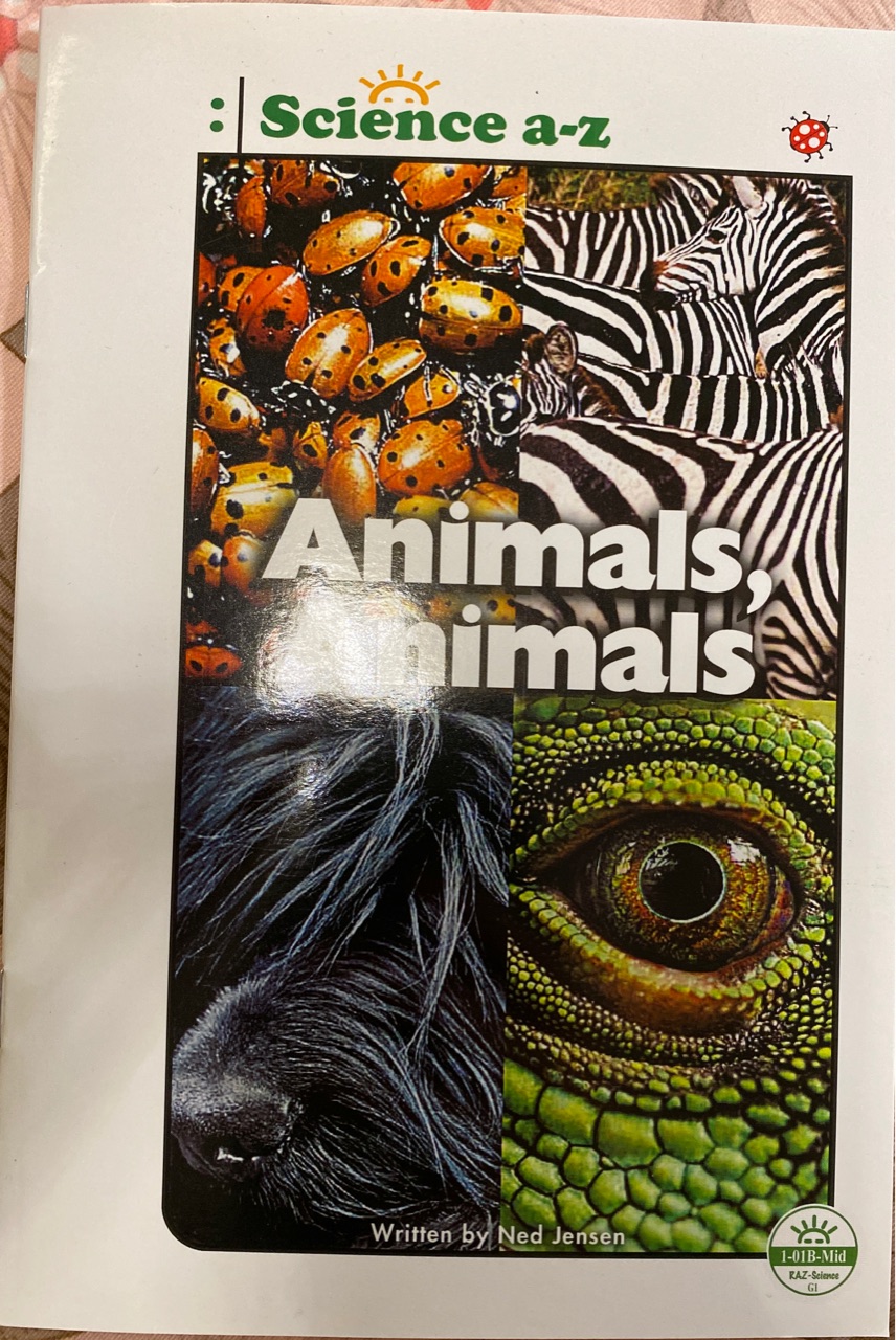 Animals animals g1