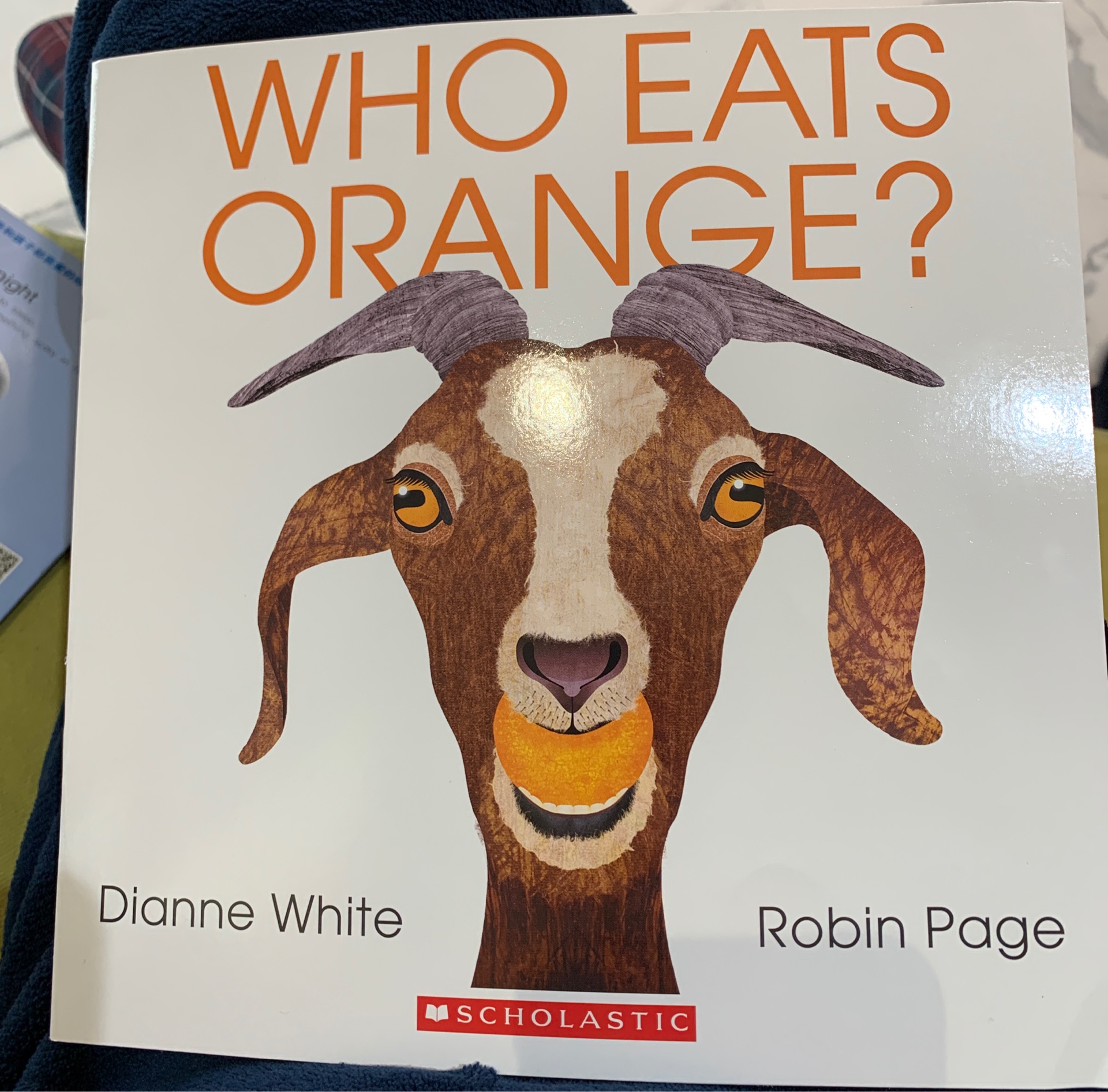 Who eats orange?