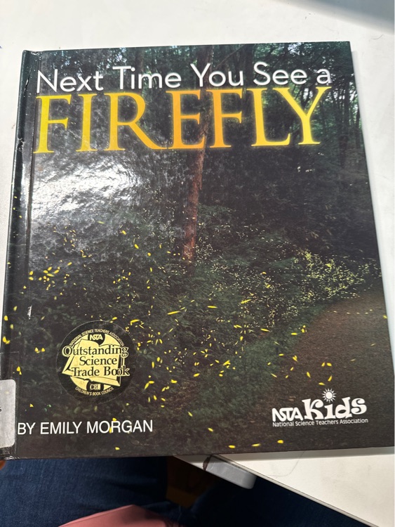 Next time you see a firefly