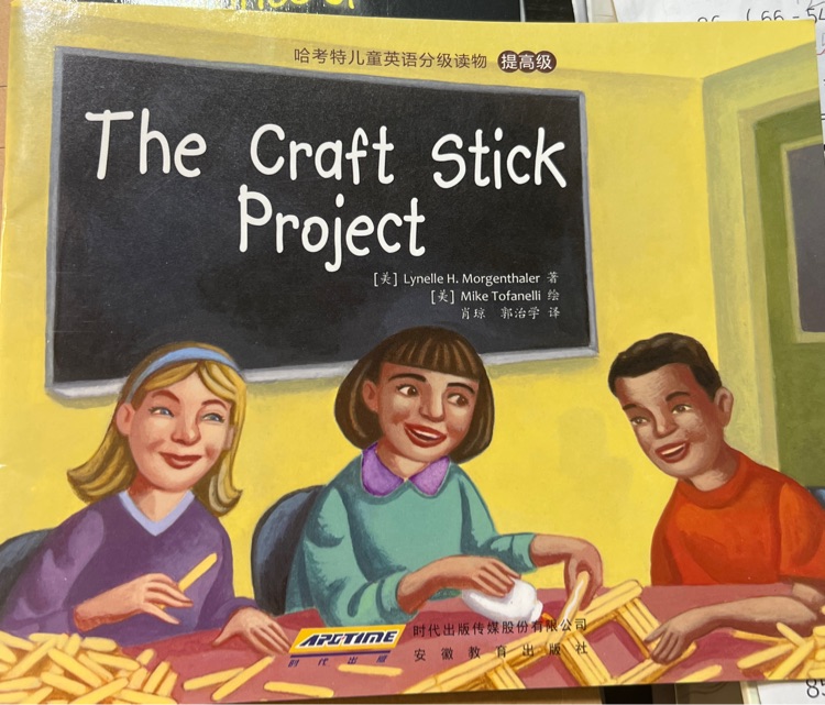 The craft stick proiect