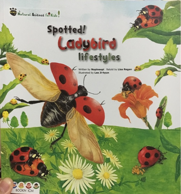 spotted!ladybird lifestyles