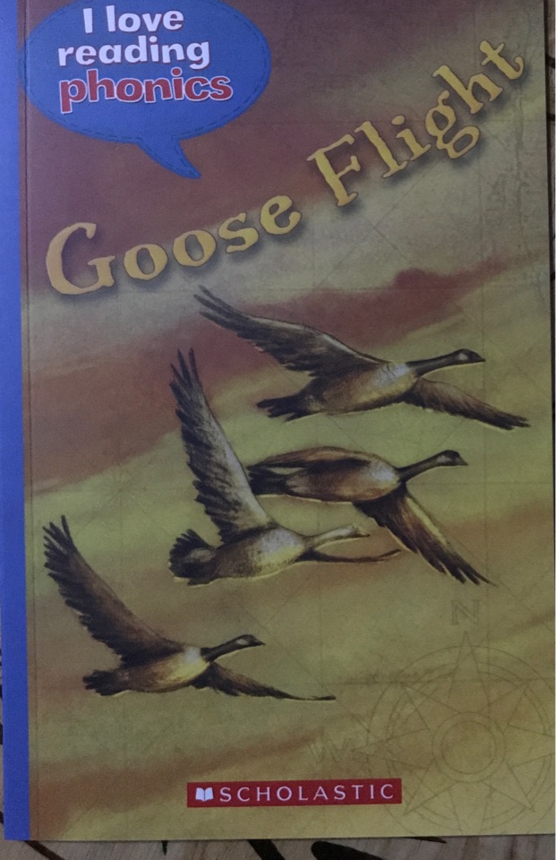 Goose Flight