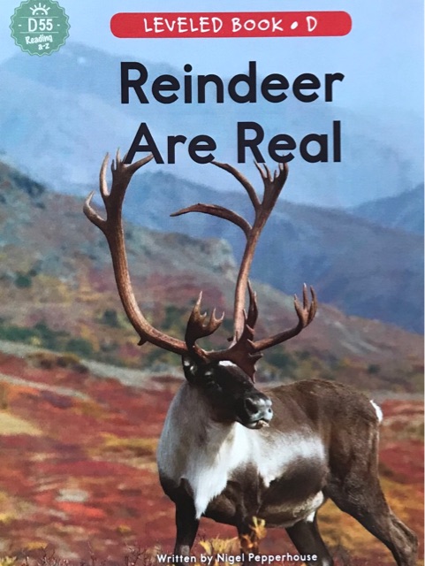 raz-d 55 reindeer are real