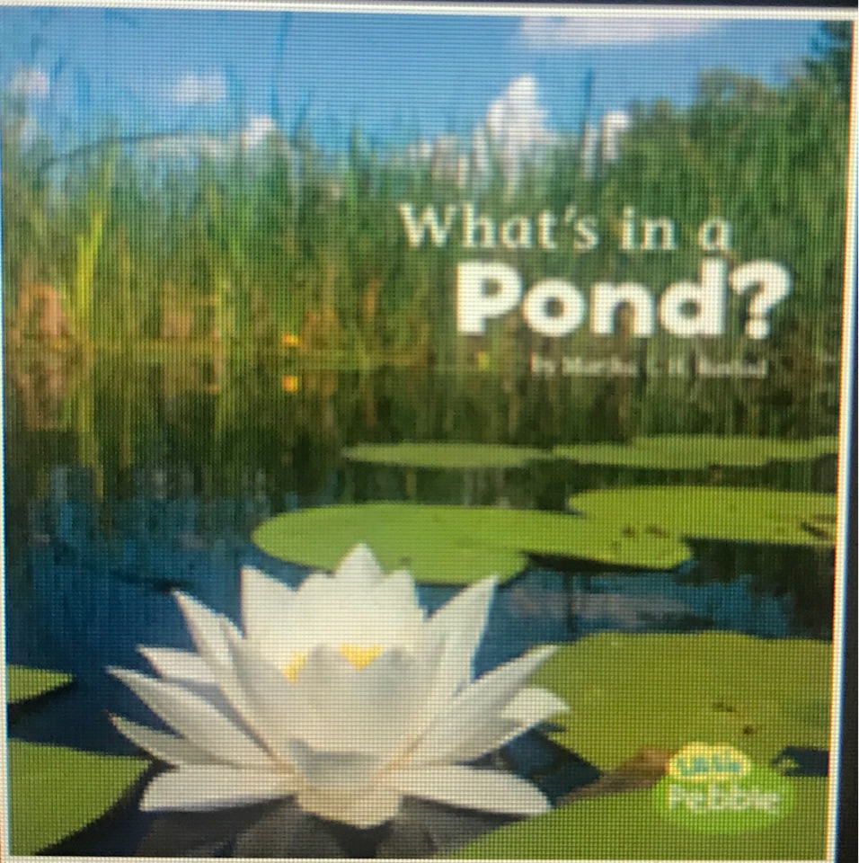 What's in a pond?