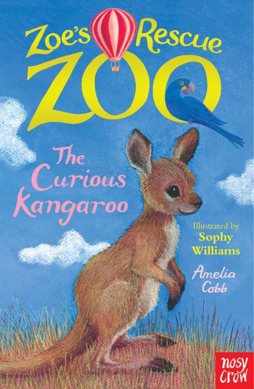 The curious kangaroo