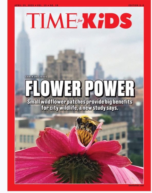 Time for kids 2025.4.25