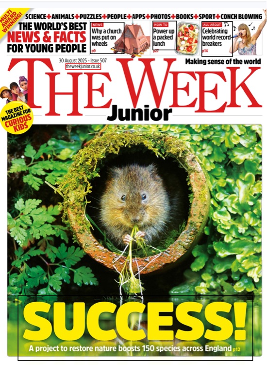 The week junior 2025.8.30