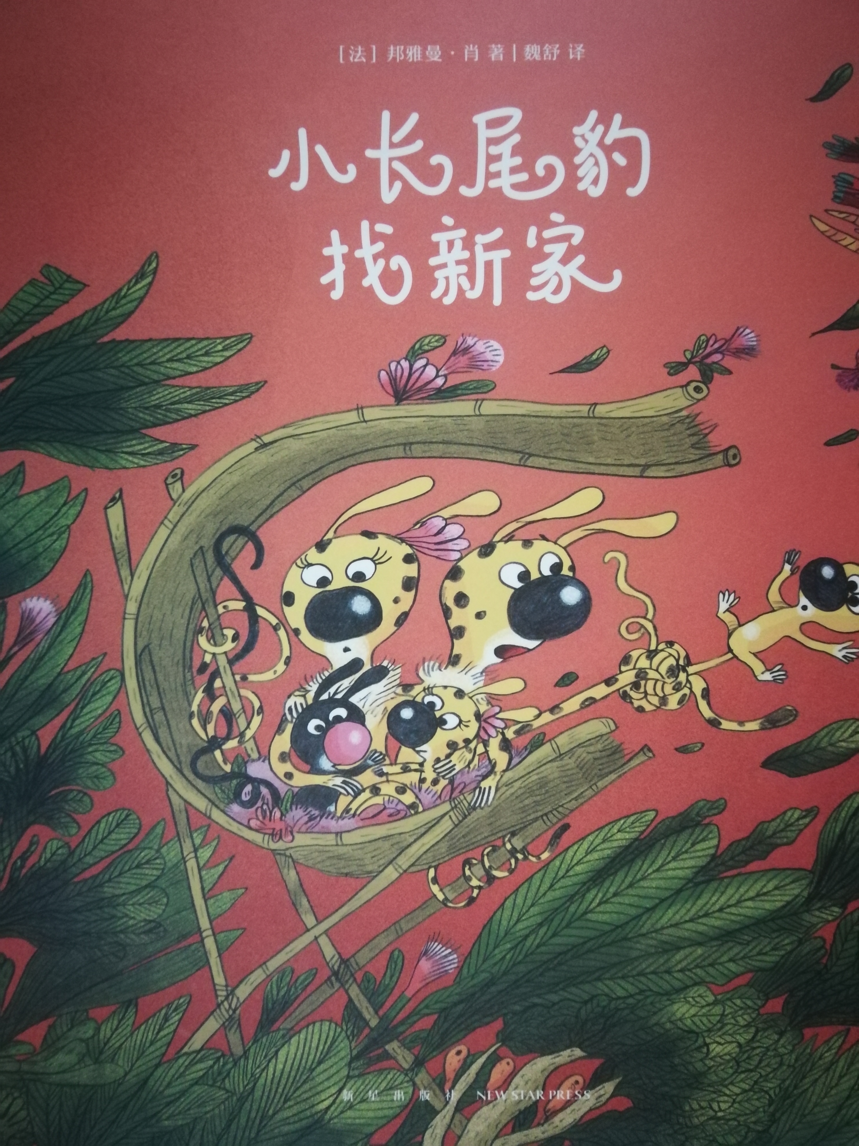 小長尾豹找新家
