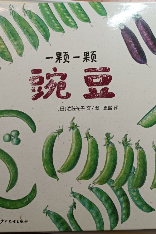 一顆一顆豌豆