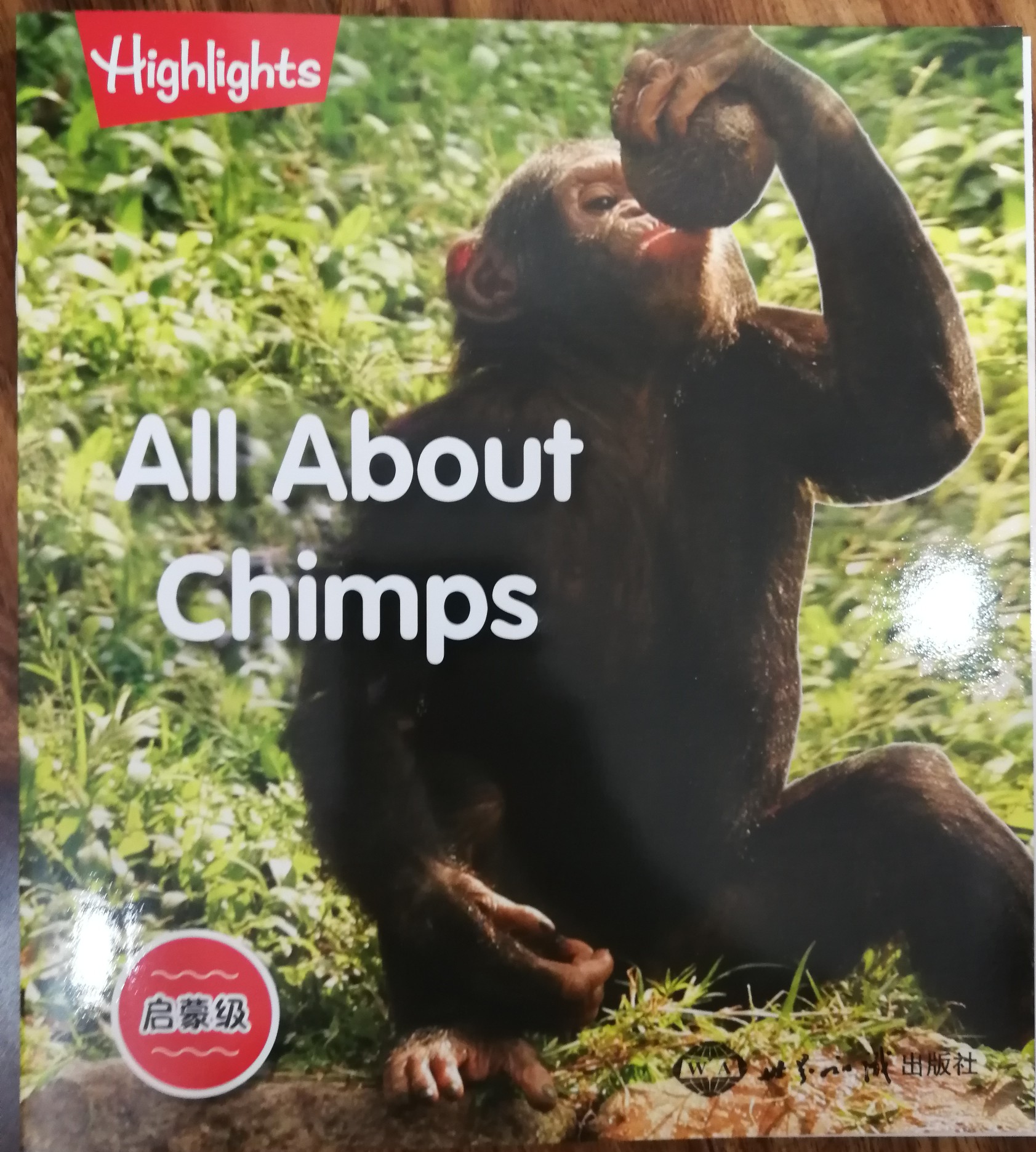 highlights啟蒙級(jí): all about chimps