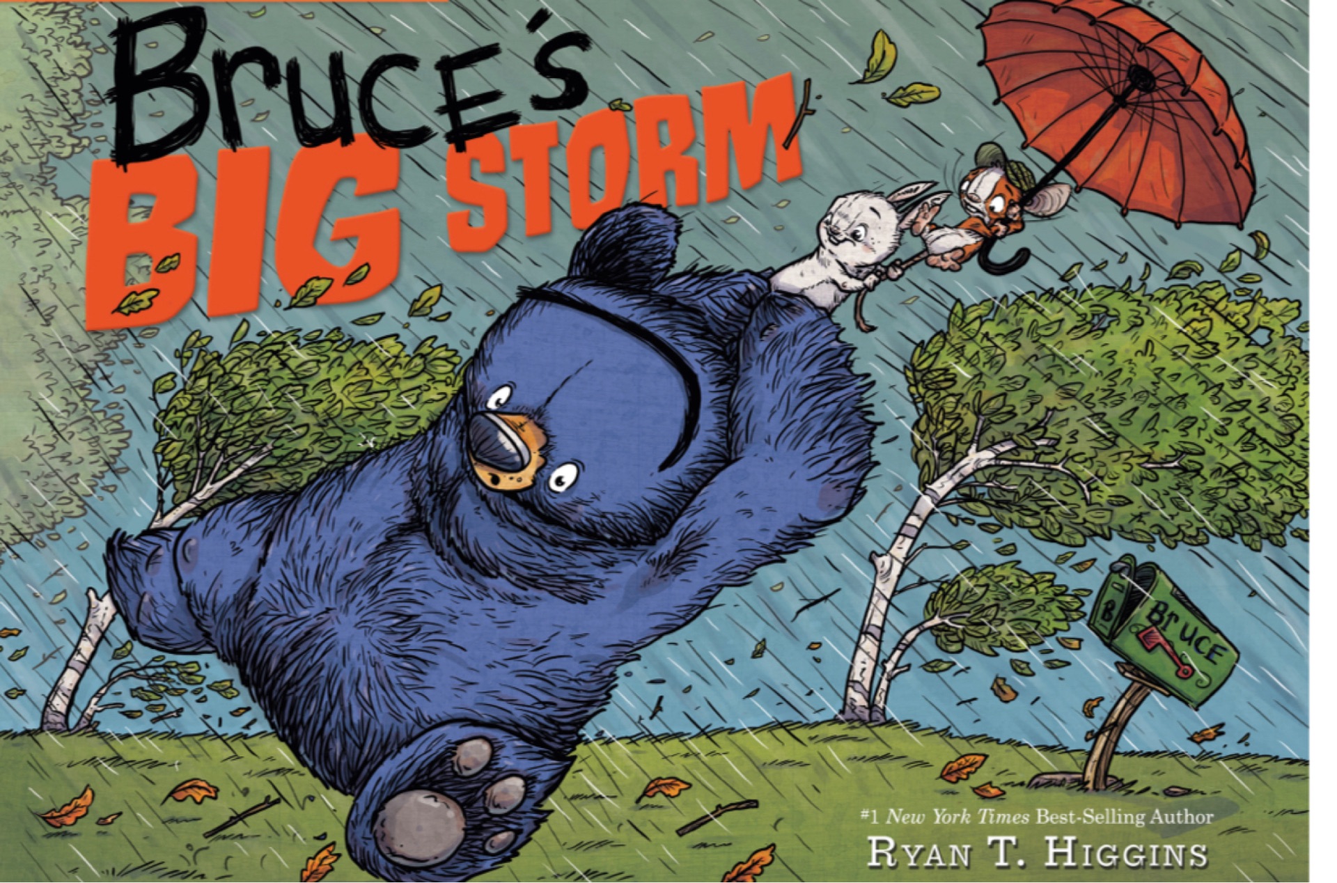 Bruce's Big Storm