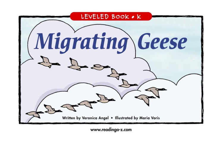 Migrating Geese (RAZ K)