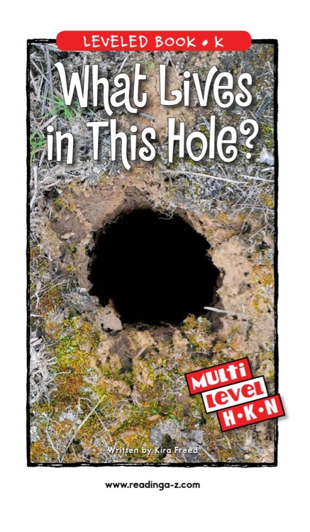 What Lives in This Hole? (RAZ K)