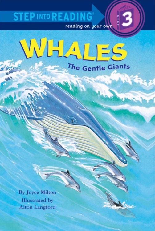 Whales