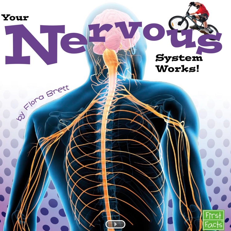 Your Nervous System Works!