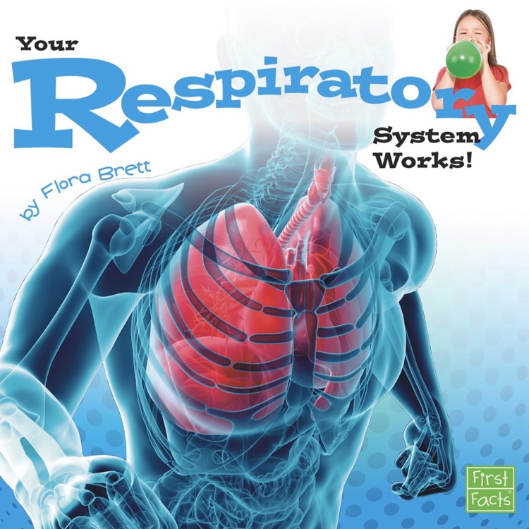 Your Respiratory System Works!