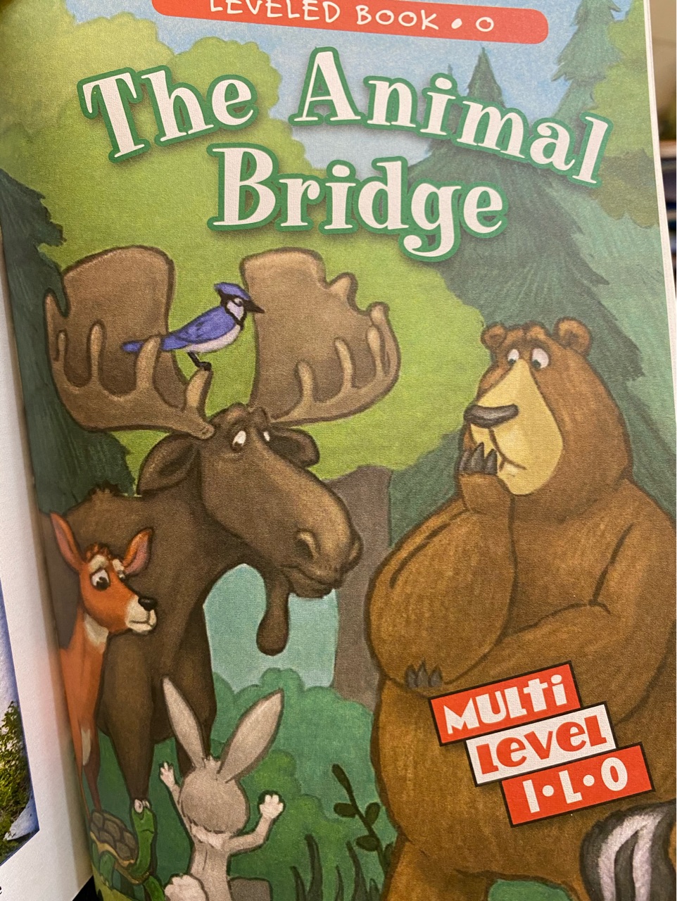 The Animal Bridge