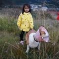 Alice哇咔咔