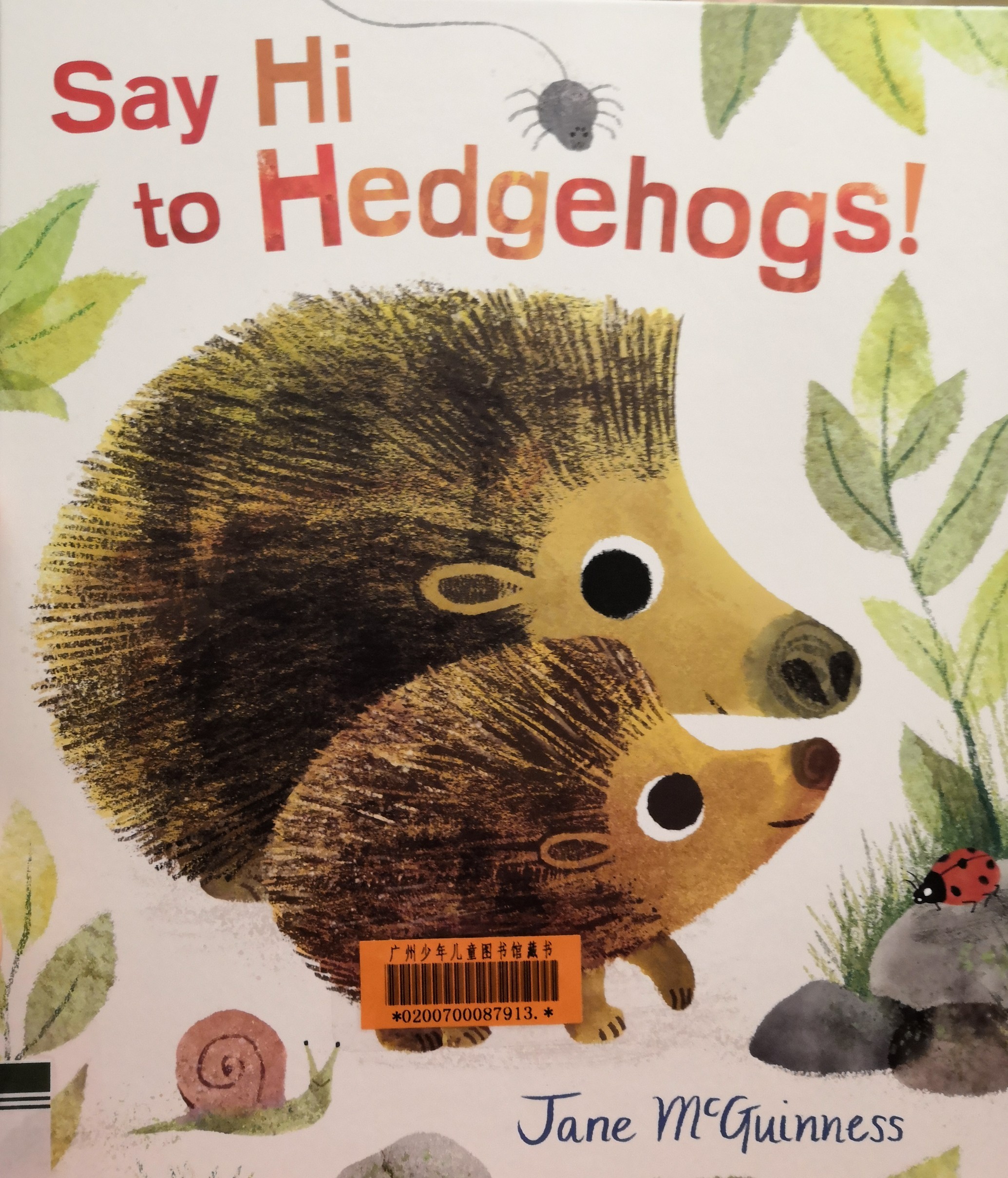 say hi to hedgehogs