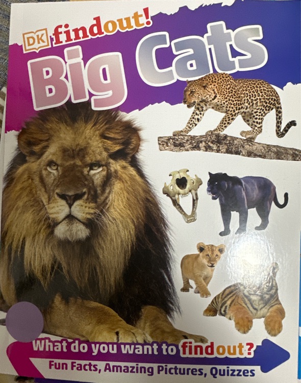 Big Cats