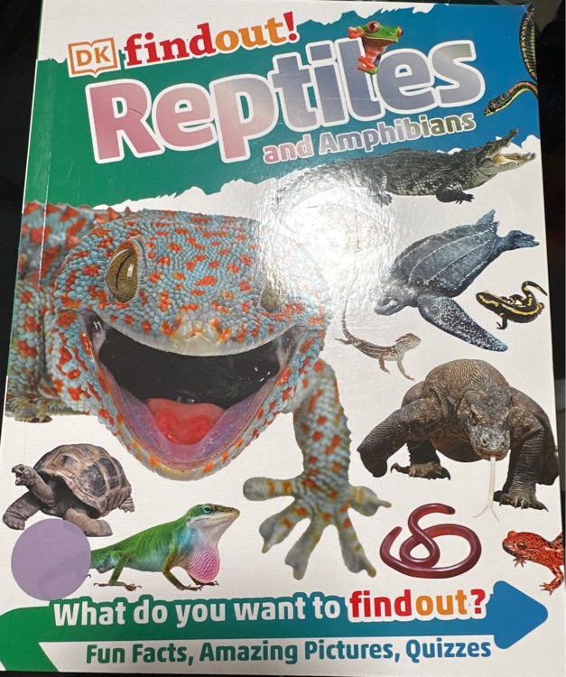 Do findout reptiles