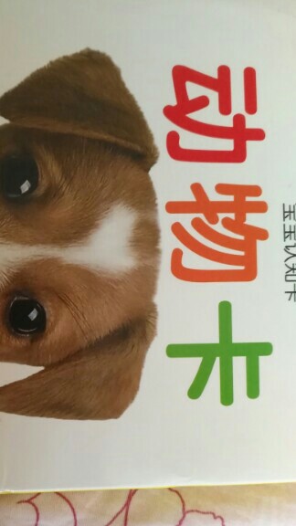 寶寶認知動物卡