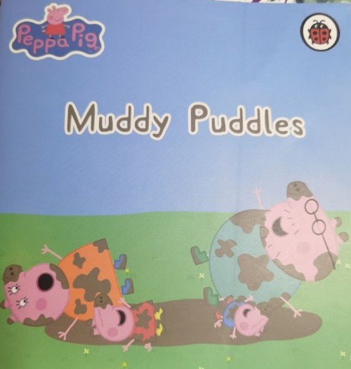 muddy puddle