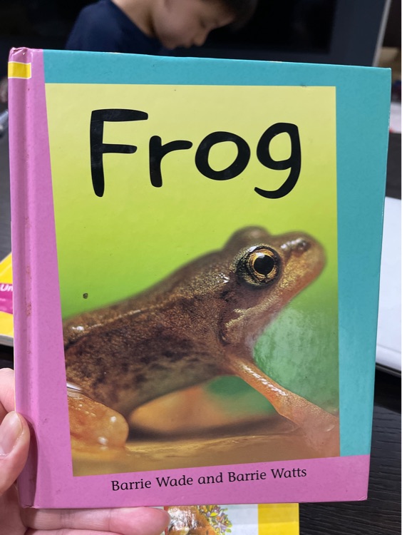 Frog