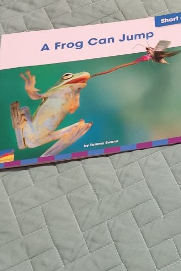 A frog can jump.