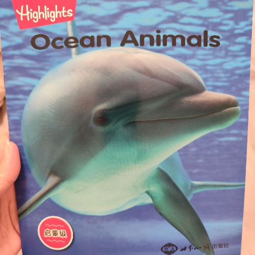 ocean animals