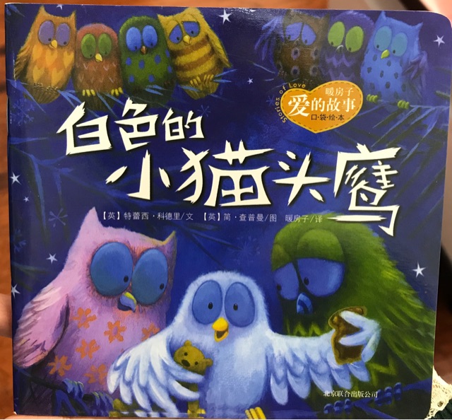 白色的小貓頭鷹
