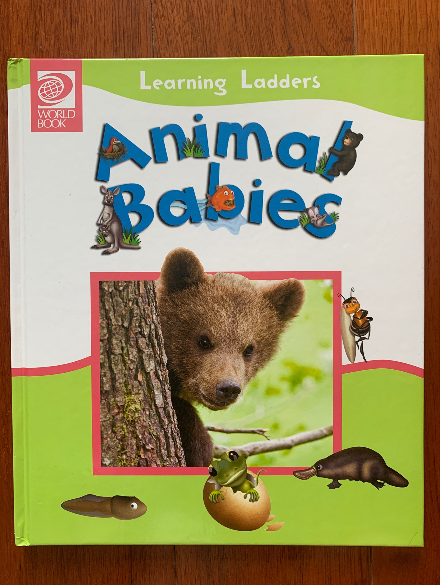 Learning Ladders Animal Babies