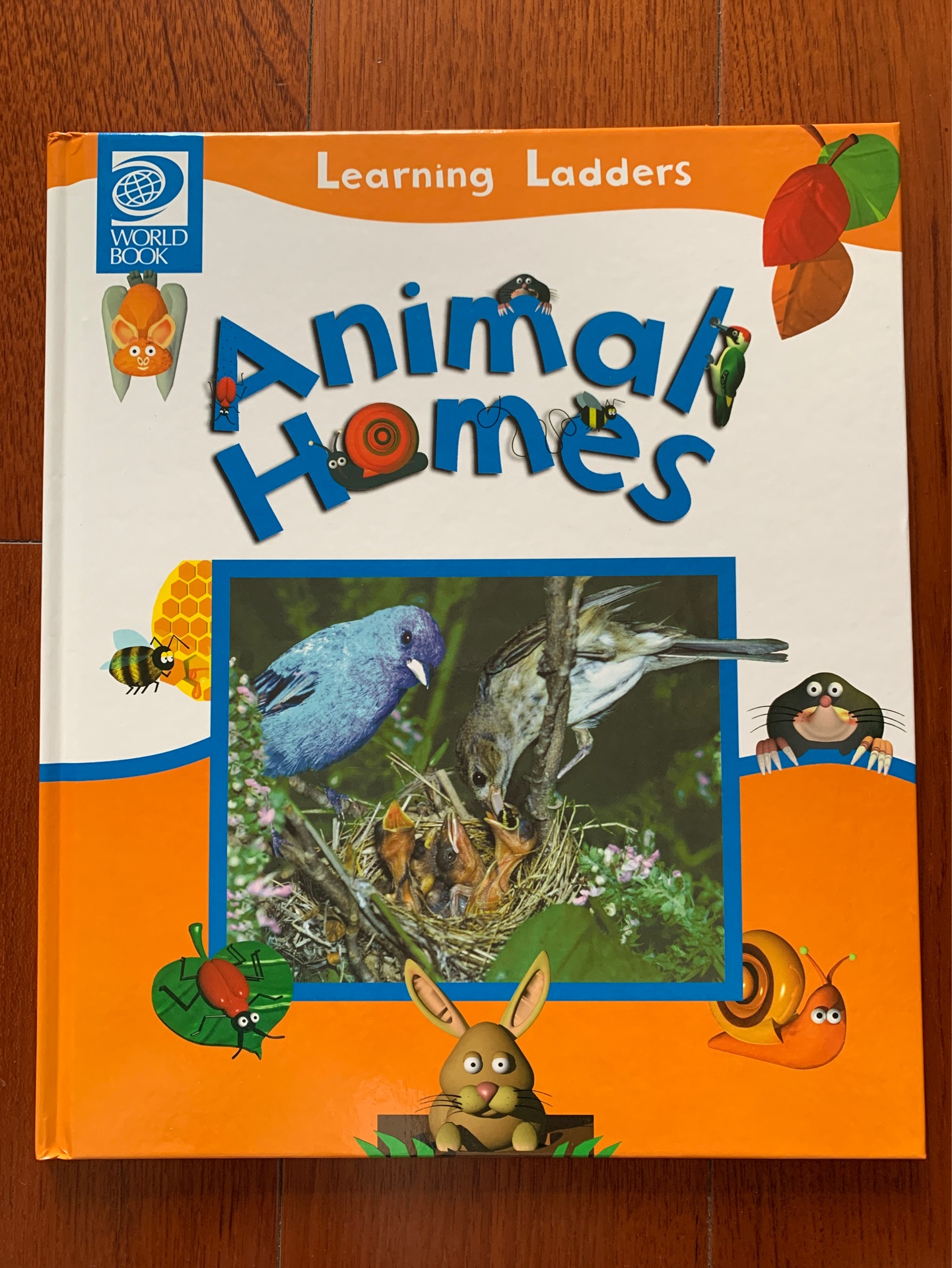 Learning Ladders Animal Homes