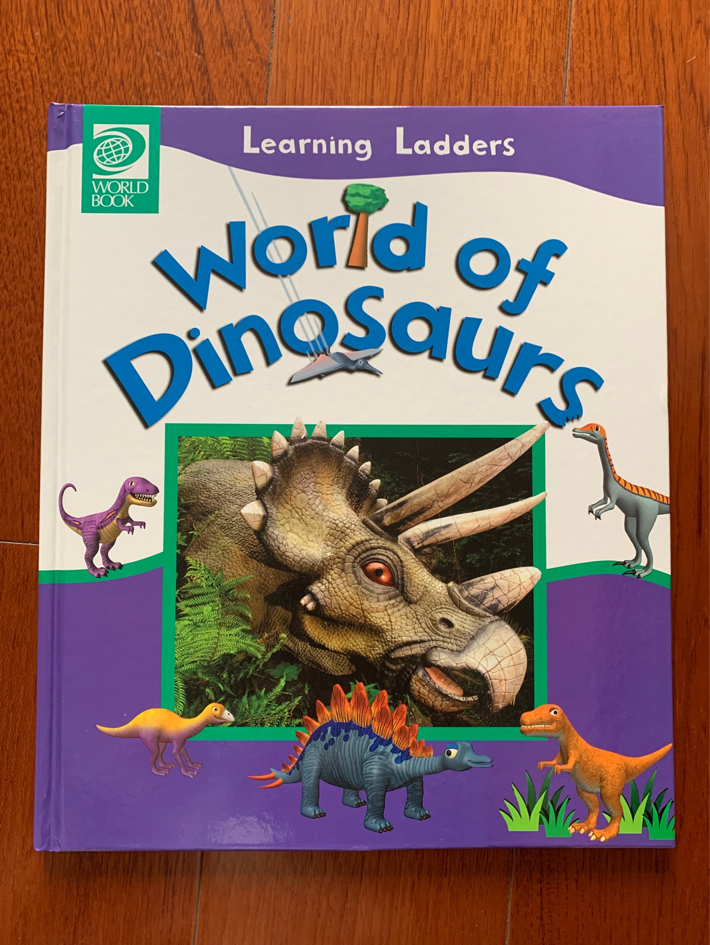 Learning Ladders World of Dinosaurs