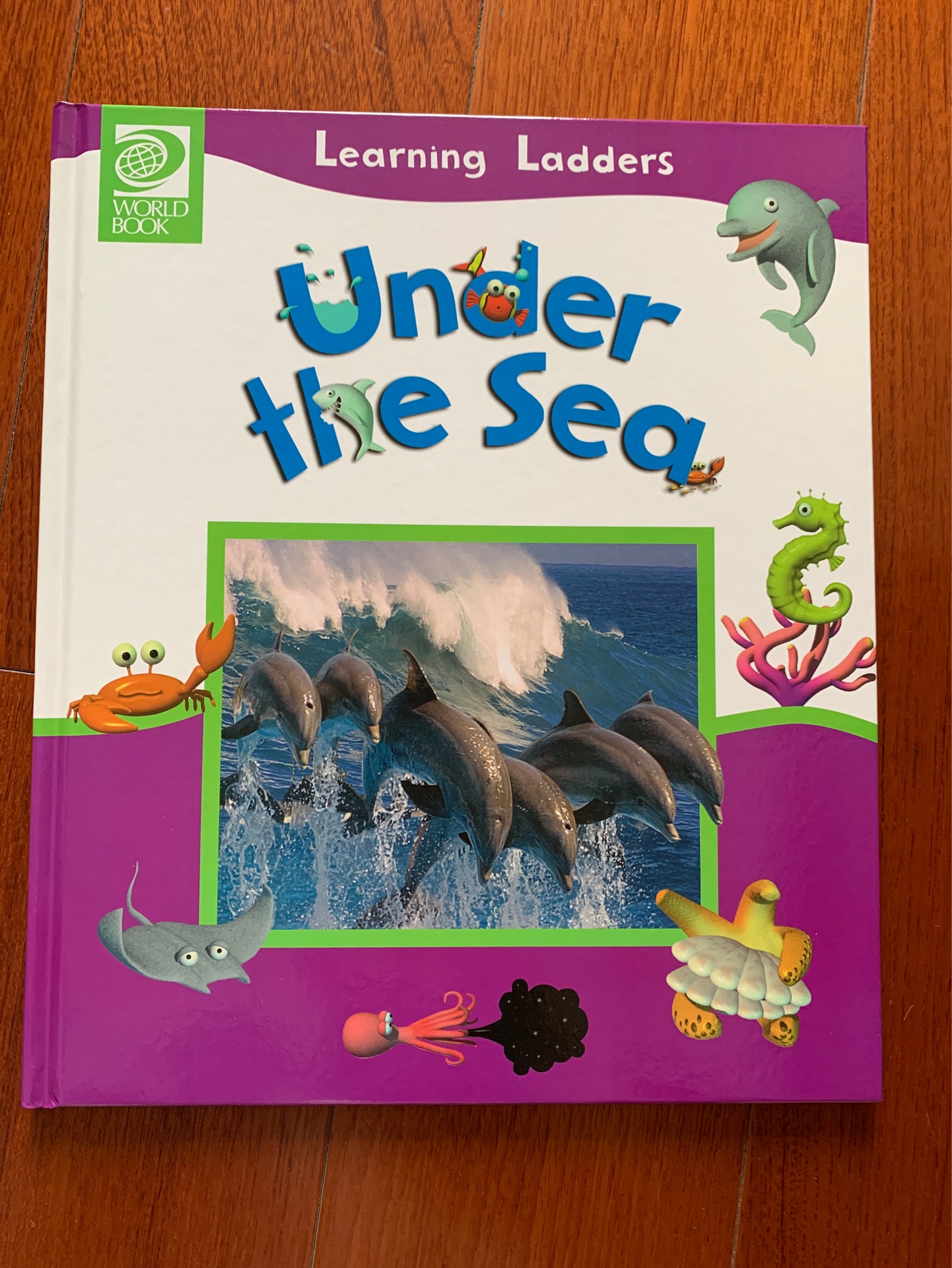 Learning Ladders Under the Sea