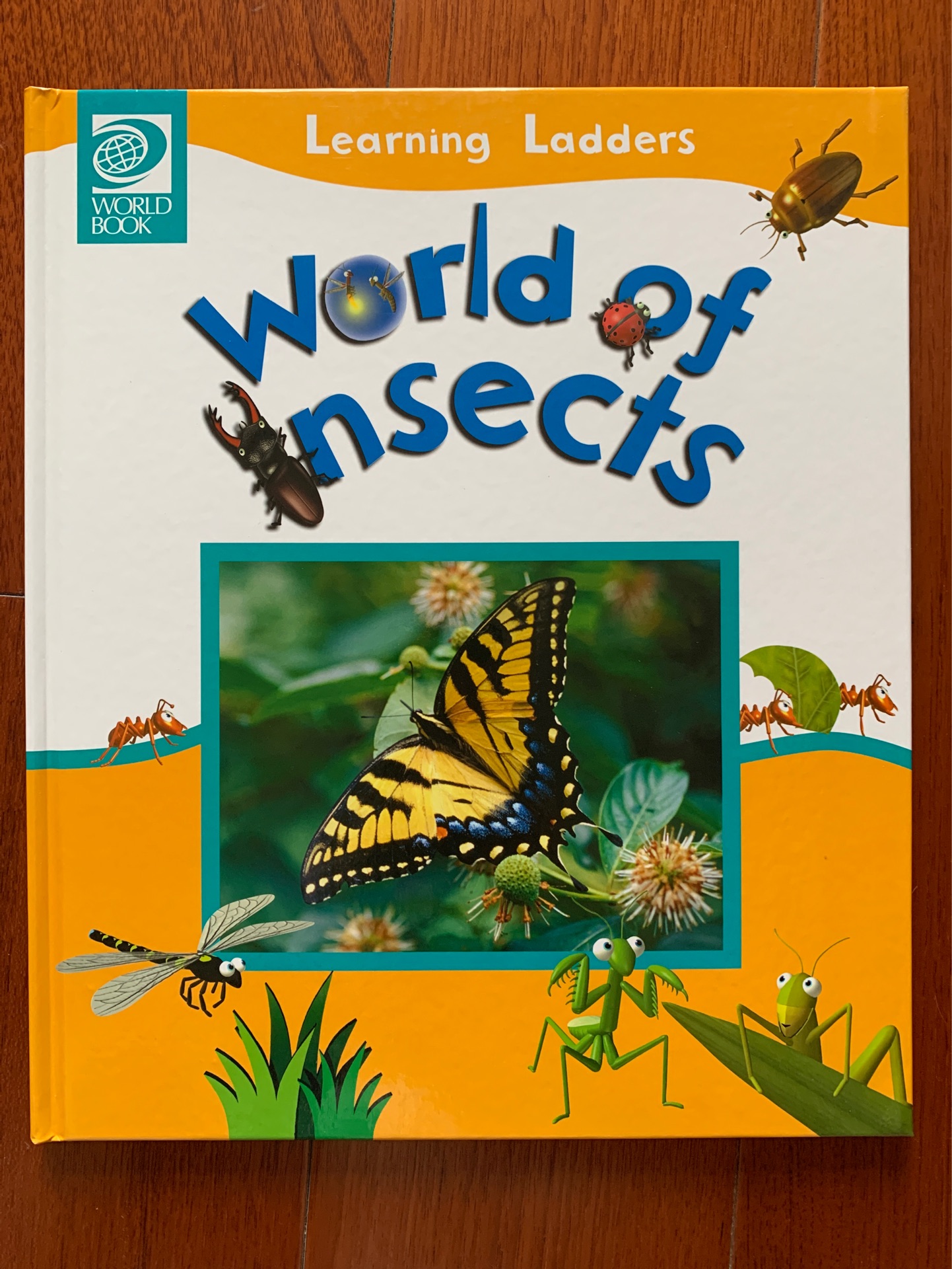 Learning Ladders World of Insects