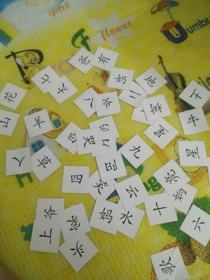 Day 5 學習情況