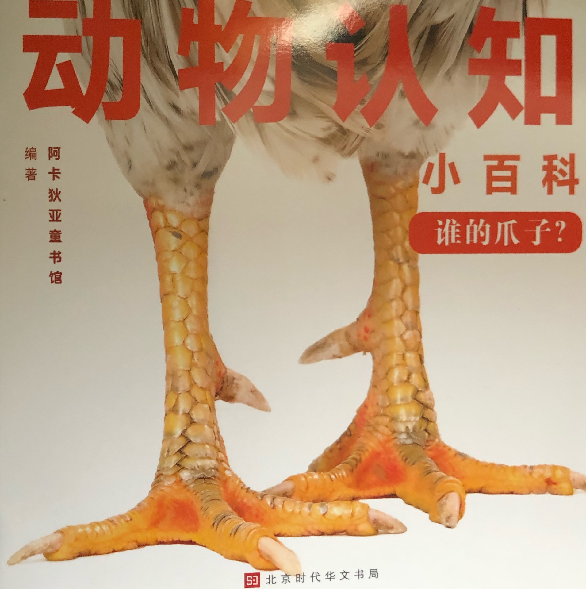 查看系列